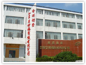 Rugao Beitefu Making Thread Co., Ltd.