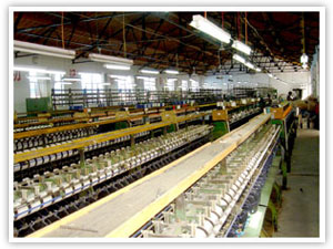 Rugao Beitefu Making Thread Co., Ltd.